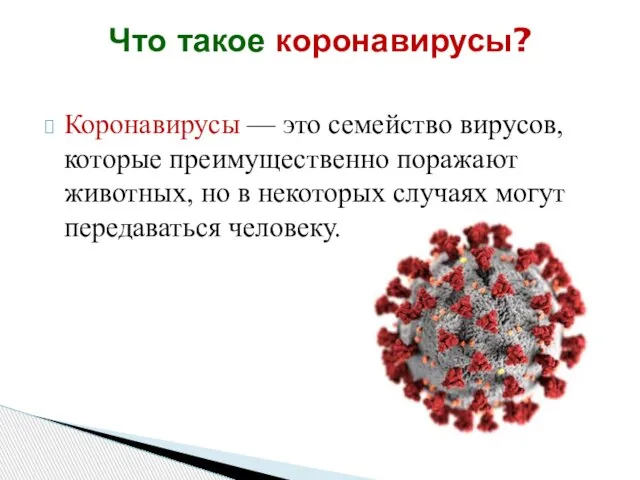 Что такое коронавирусы? Коронавирусы — это семейство вирусов, которые преимущественно поражают животных,
