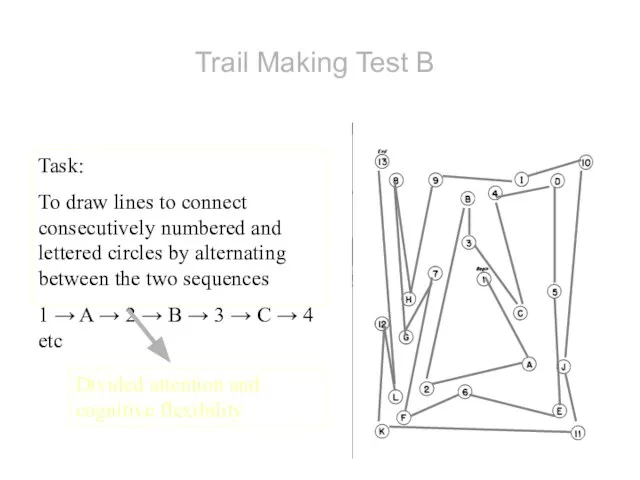 Trail Making Test B Task: To draw lines to connect consecutively numbered