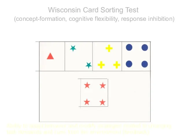 Wisconsin Card Sorting Test (concept-formation, cognitive flexibility, response inhibition) Ability to adapt