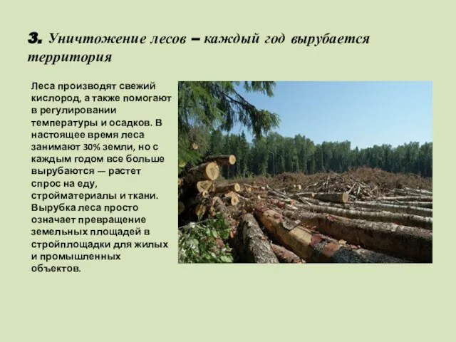 3. Уничтожение лесов – каждый год вырубается территория Леса производят свежий кислород,