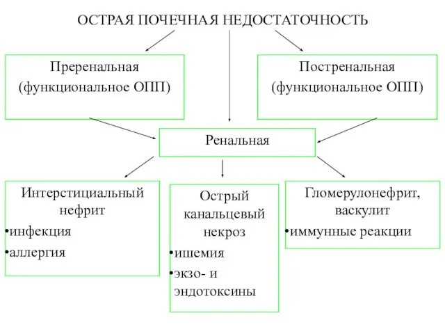 ОСТРАЯ ПОЧЕЧНАЯ НЕДОСТАТОЧНОСТЬ