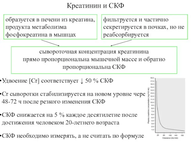 Креатинин и СКФ Удвоение [Cr] соответствует ↓ 50 % СКФ Cr сыворотки