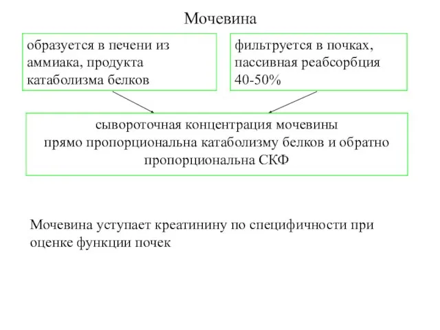 Мочевина Мочевина уступает креатинину по специфичности при оценке функции почек