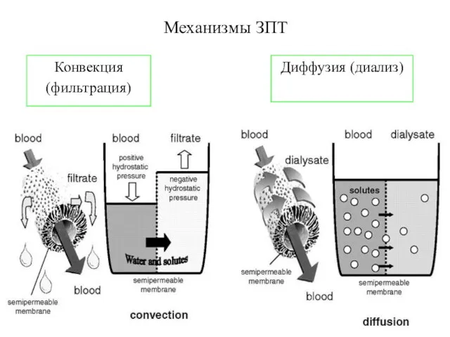 Механизмы ЗПТ