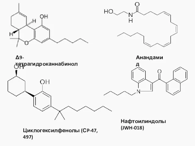 Δ9-тетрагидроканнабинол Анандамид Циклогексилфенолы (СP-47, 497) Нафтоилиндолы (JWH-018)