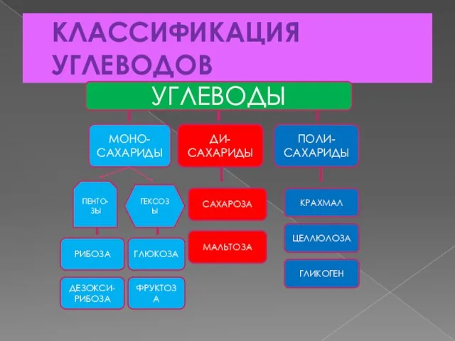 КЛАССИФИКАЦИЯ УГЛЕВОДОВ УГЛЕВОДЫ МОНО- САХАРИДЫ ДИ- САХАРИДЫ ПОЛИ- САХАРИДЫ ПЕНТО-ЗЫ ГЕКСОЗЫ РИБОЗА