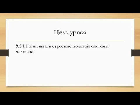 Цель урока 9.2.1.1 описывать строение половой системы человека