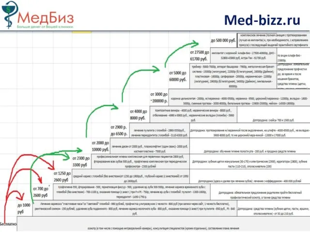 Med-bizz.ru