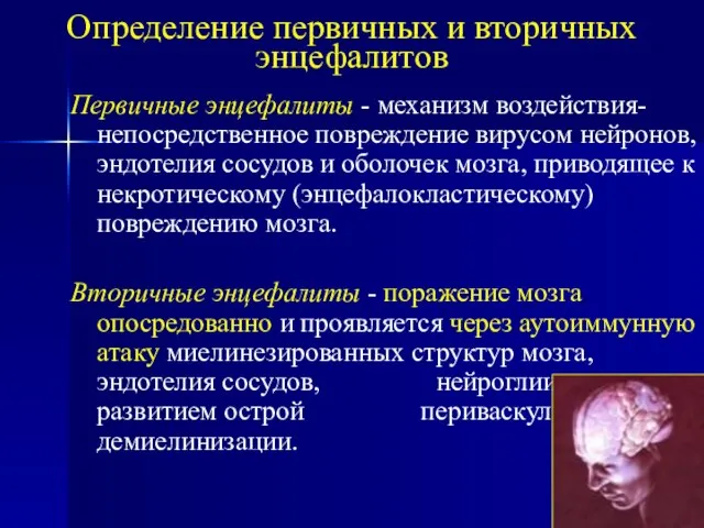 Первичные энцефалиты - механизм воздействия- непосредственное повреждение вирусом нейронов, эндотелия сосудов и