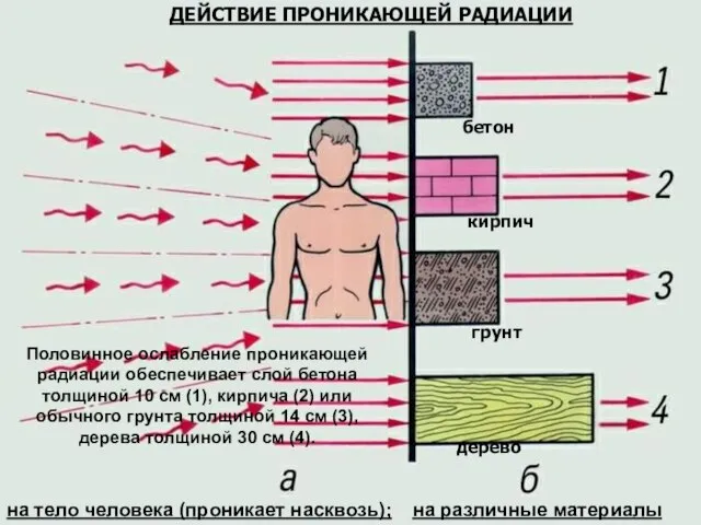 ДЕЙСТВИЕ ПРОНИКАЮЩЕЙ РАДИАЦИИ на тело человека (проникает насквозь); на различные материалы бетон