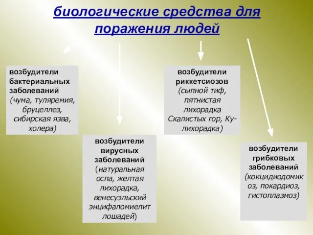 биологические средства для поражения людей возбудители бактериальных заболеваний (чума, туляремия, бруцеллез, сибирская