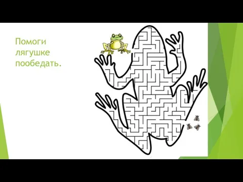 Помоги лягушке пообедать.