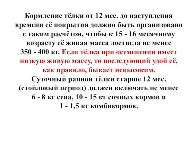 Кормление тёлки от 12 мес. до наступления времени её покрытия должно быть