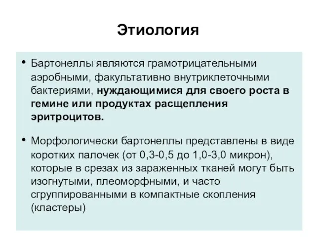 Этиология Бартонеллы являются грамотрицательными аэробными, факультативно внутриклеточными бактериями, нуждающимися для своего роста