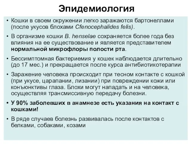 Эпидемиология Кошки в своем окружении легко заражаются бартонеллами (после укусов блохами Cfenocephalides