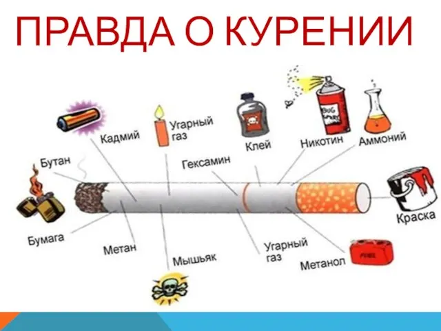 ПРАВДА О КУРЕНИИ