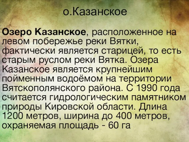 о.Казанское Озеро Казанское, расположенное на левом побережье реки Вятки,фактически является старицей, то