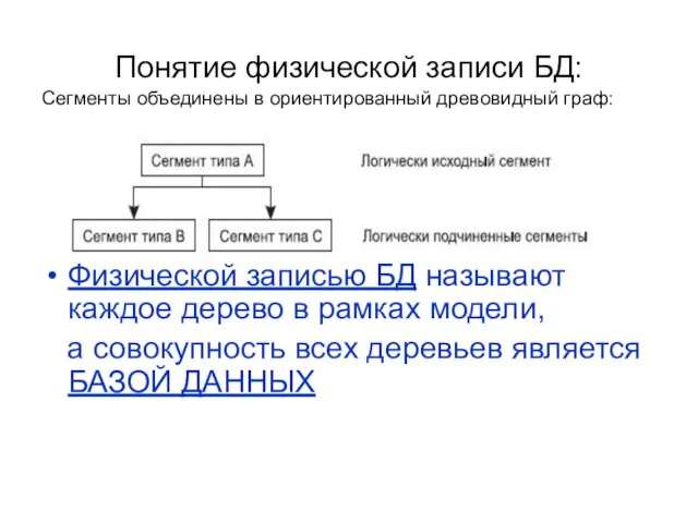 Понятие физической записи БД: Сегменты объединены в ориентированный древовидный граф: Физической записью