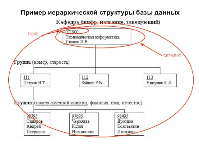 Пример иерархической структуры базы данных ПОЛЕ СЕГМЕНТ