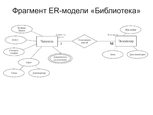 Фрагмент ER-модели «Библиотека»