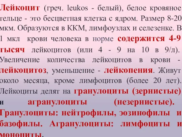 Лейкоцит (греч. leukos - белый), белое кровяное тельце - это бесцветная клетка