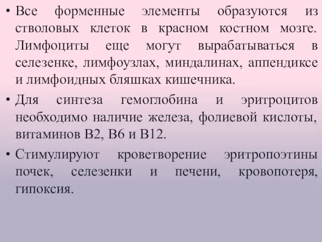 Все форменные элементы образуются из стволовых клеток в красном костном мозге. Лимфоциты