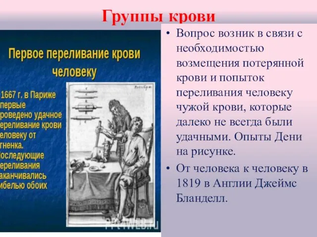 Группы крови Вопрос возник в связи с необходимостью возмещения потерянной крови и