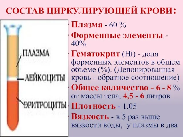 СОСТАВ ЦИРКУЛИРУЮЩЕЙ КРОВИ: Плазма - 60 % Форменные элементы - 40% Гематокрит