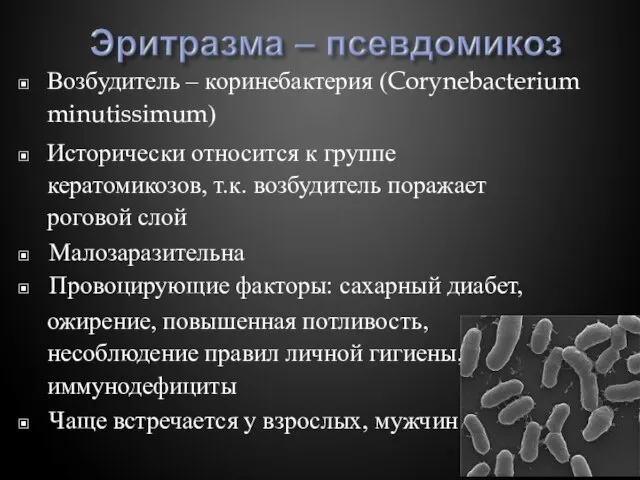 ▣ Возбудитель – коринебактерия (Corynebacterium minutissimum) ▣ Исторически относится к группе кератомикозов,