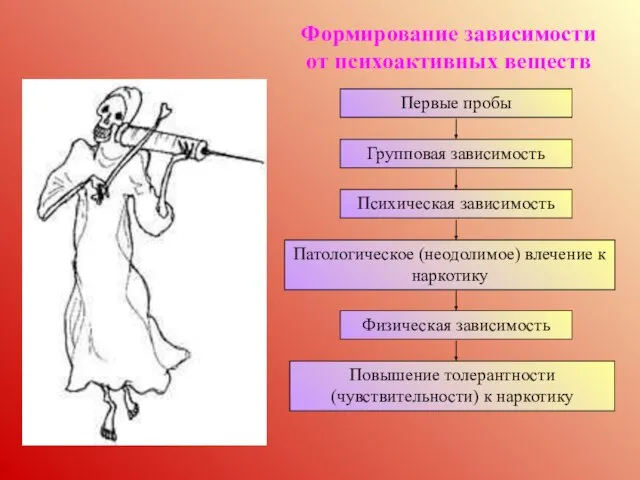 Формирование зависимости от психоактивных веществ Первые пробы Групповая зависимость Психическая зависимость Патологическое