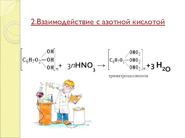 2.Взаимодействие с азотной кислотой + 3nHNO3 → +3 H2О тринитроцеллюлоза