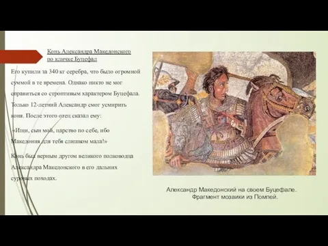 Александр Македонский на своем Буцефале. Фрагмент мозаики из Помпей. Его купили за