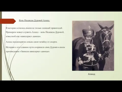 Алкид Конь Надежды Дуровой Алкид. В истории остались имена не только лошадей