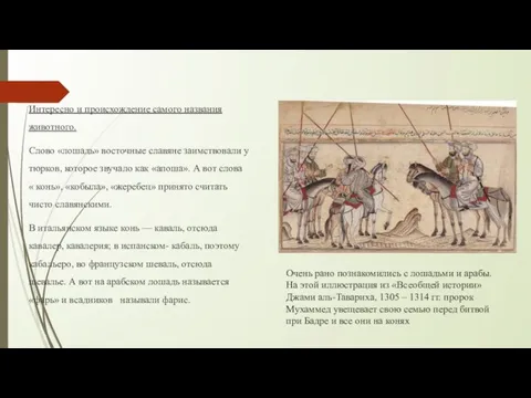 Интересно и происхождение самого названия животного. Слово «лошадь» восточные славяне заимствовали у