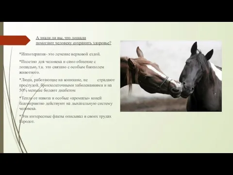 А знали ли вы, что лошади помогают человеку сохранить здоровье? *Иппотерапия- это