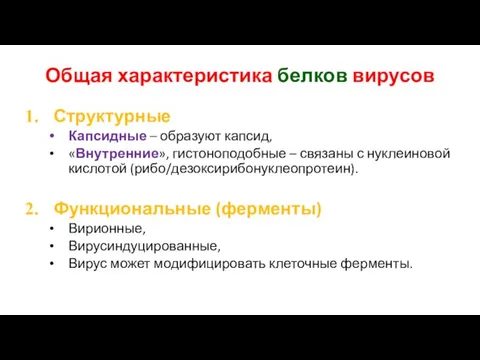 Общая характеристика белков вирусов Структурные Капсидные – образуют капсид, «Внутренние», гистоноподобные –