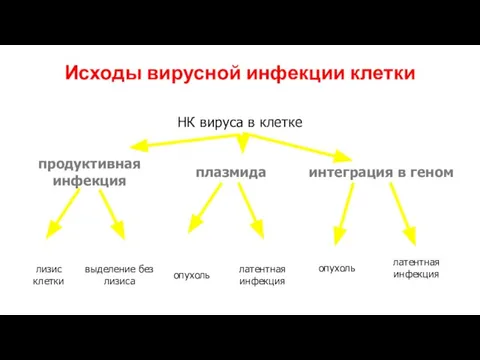 Исходы вирусной инфекции клетки