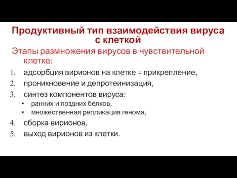 Продуктивный тип взаимодействия вируса с клеткой Этапы размножения вирусов в чувствительной клетке: