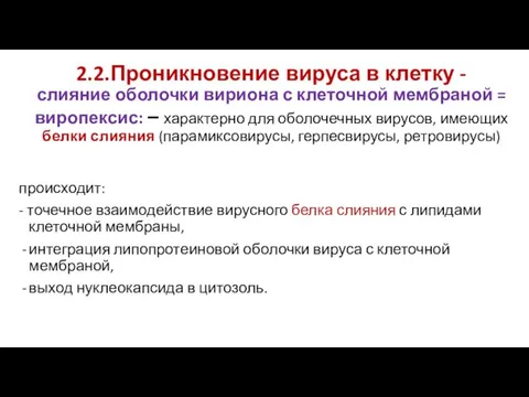 2.2.Проникновение вируса в клетку - слияние оболочки вириона с клеточной мембраной =