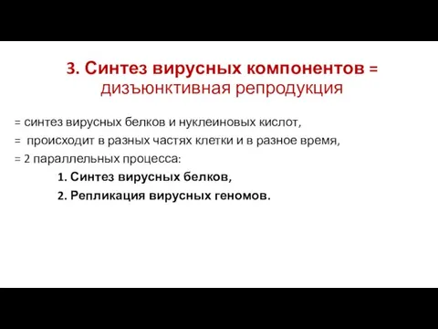 3. Синтез вирусных компонентов = дизъюнктивная репродукция = синтез вирусных белков и