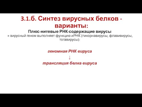 3.1.б. Синтез вирусных белков -варианты: Плюс-нитевые РНК-содержащие вирусы = вирусный геном выполняет