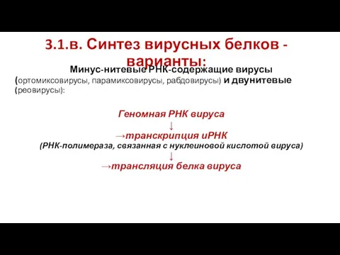 3.1.в. Синтез вирусных белков -варианты: Минус-нитевые РНК-содержащие вирусы (ортомиксовирусы, парамиксовирусы, рабдовирусы) и