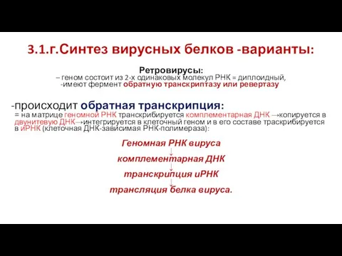 3.1.г.Синтез вирусных белков -варианты: Ретровирусы: – геном состоит из 2-х одинаковых молекул