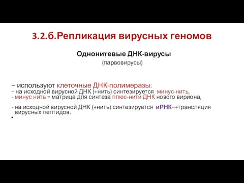 3.2.б.Репликация вирусных геномов Однонитевые ДНК-вирусы (парвовирусы) – используют клеточные ДНК-полимеразы: - на