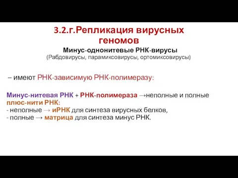 3.2.г.Репликация вирусных геномов Минус-однонитевые РНК-вирусы (Рабдовирусы, парамиксовирусы, ортомиксовирусы) – имеют РНК-зависимую РНК-полимеразу: