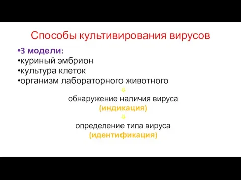 Способы культивирования вирусов 3 модели: куриный эмбрион культура клеток организм лабораторного животного