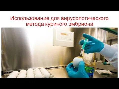 Использование для вирусологического метода куриного эмбриона