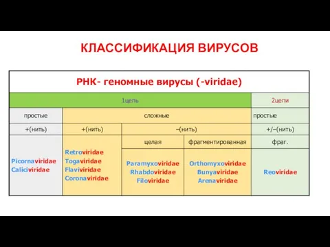 КЛАССИФИКАЦИЯ ВИРУСОВ