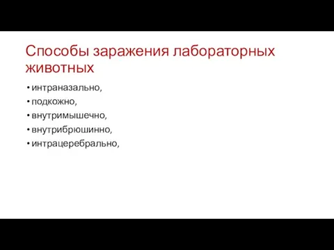 Способы заражения лабораторных животных интраназально, подкожно, внутримышечно, внутрибрюшинно, интрацеребрально,