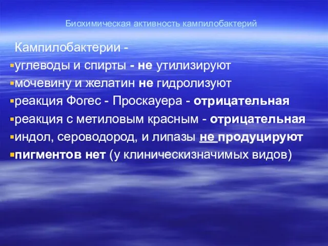 Биохимическая активность кампилобактерий Кампилобактерии - углеводы и спирты - не утилизируют мочевину